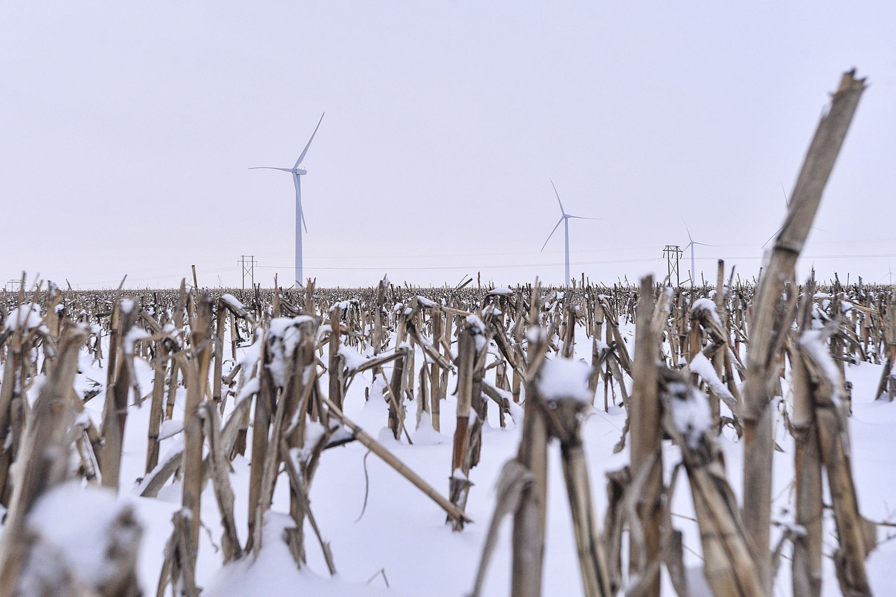 021118-blm-loc-3windpower